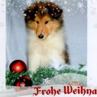  Frohes Fest 