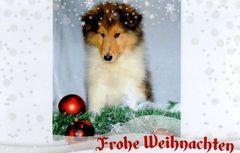  Frohes Fest 