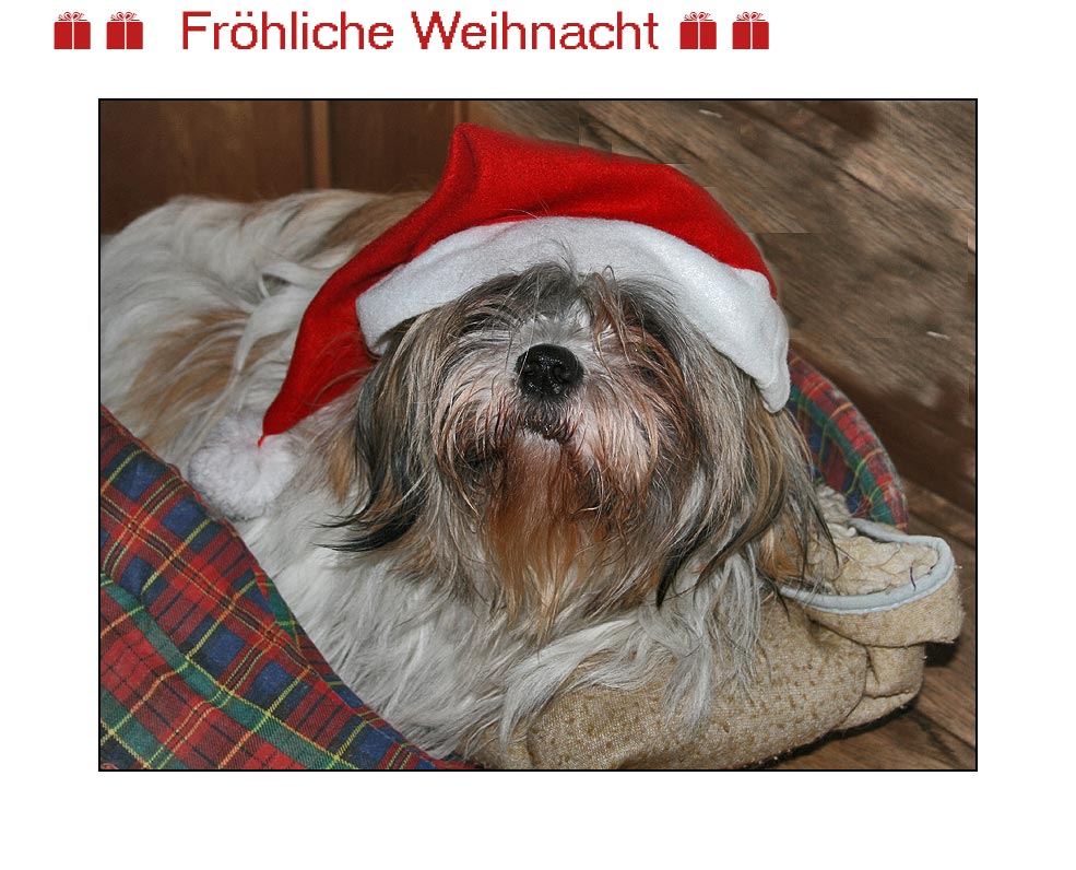 Frohes Fest