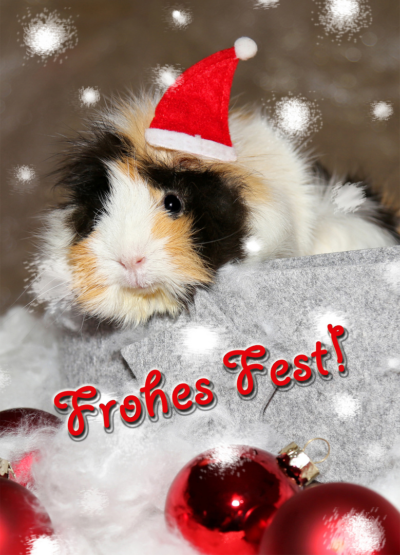 Frohes Fest!