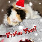 Frohes Fest!