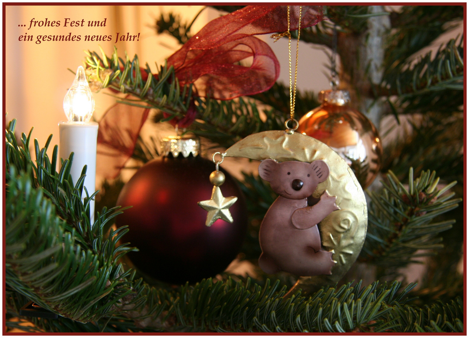 frohes Fest   oder der Koala im Christbaum ... ;)