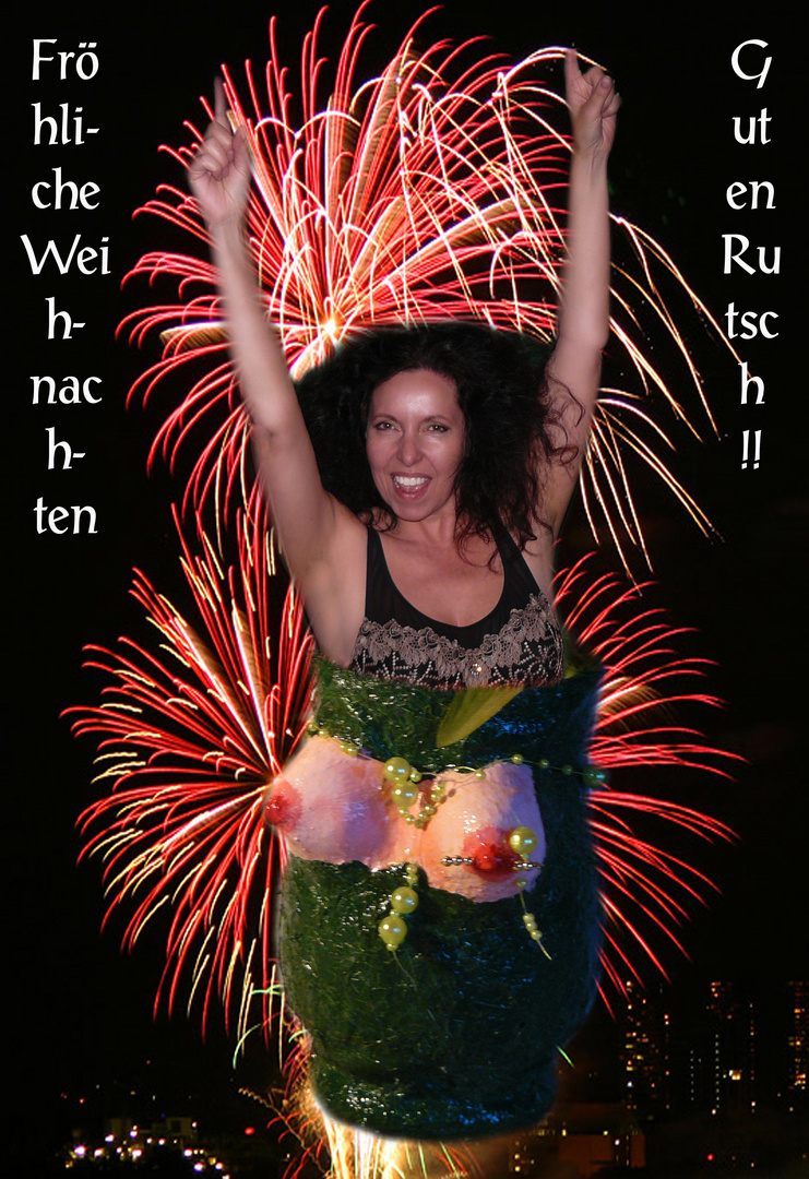 Frohes Fest und einen guten Rutsch nach 2010 !!!