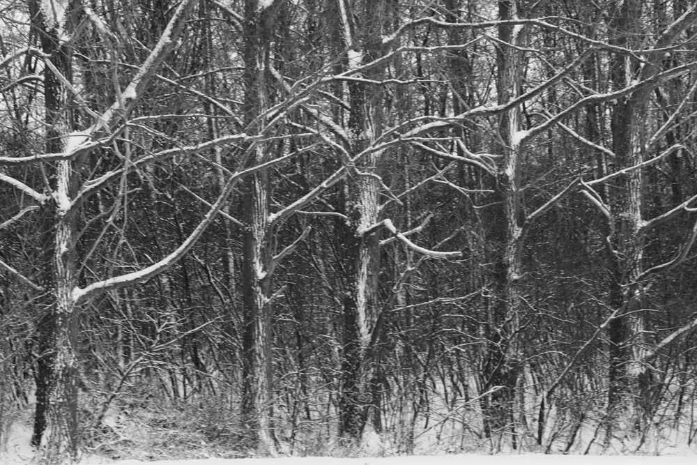 Frohes Fest und leider/zum Glück viel Schnee