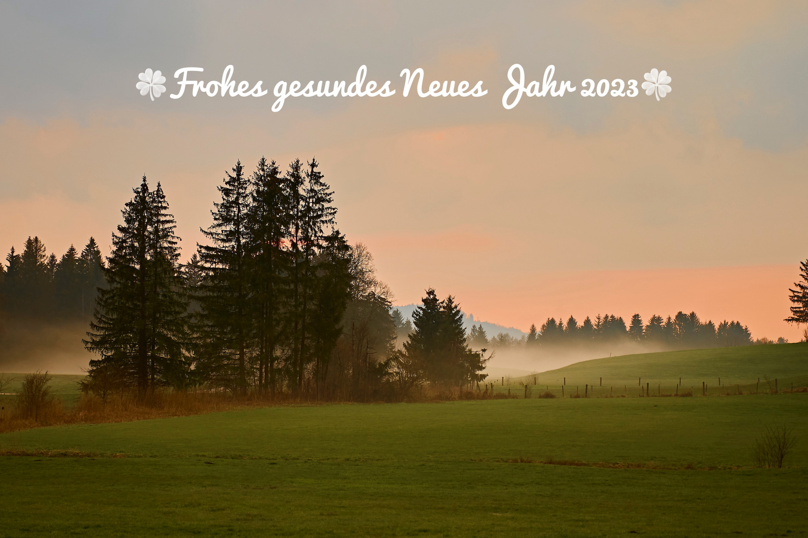 Frohes gesundes Neues Jahr 2023