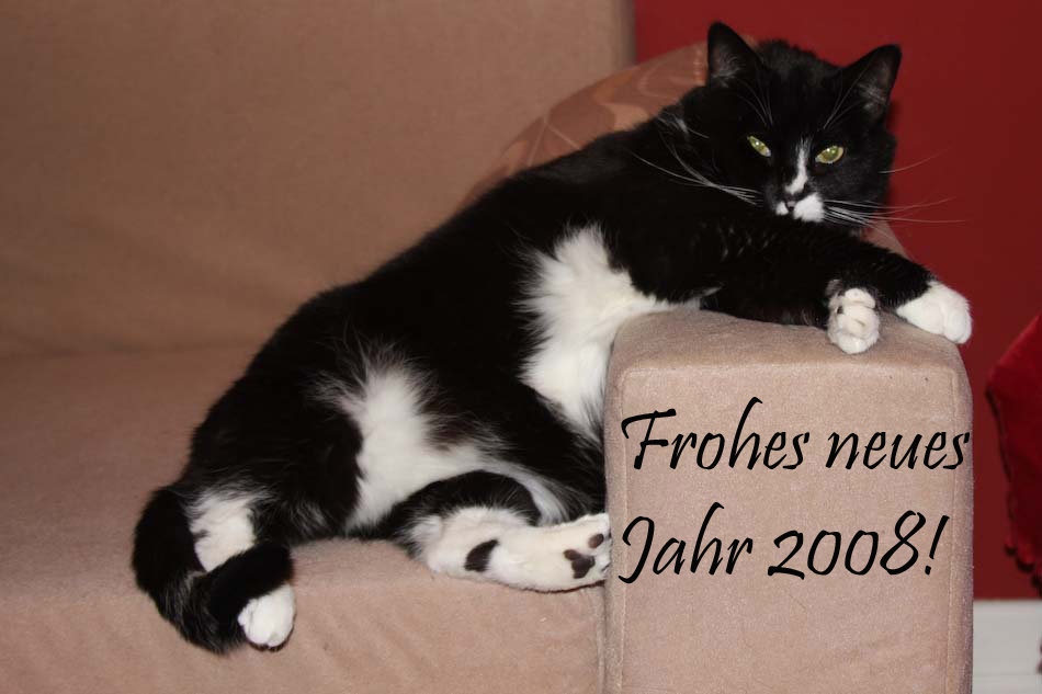 Frohes Neues