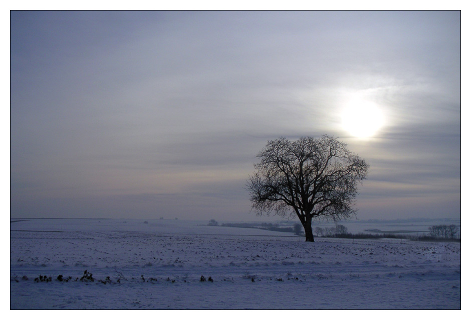 Frohes neues (Foto)Jahr 2006!