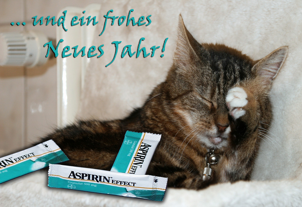 Frohes Neues Jahr Tiere Frohes Neues Jahr Tiere