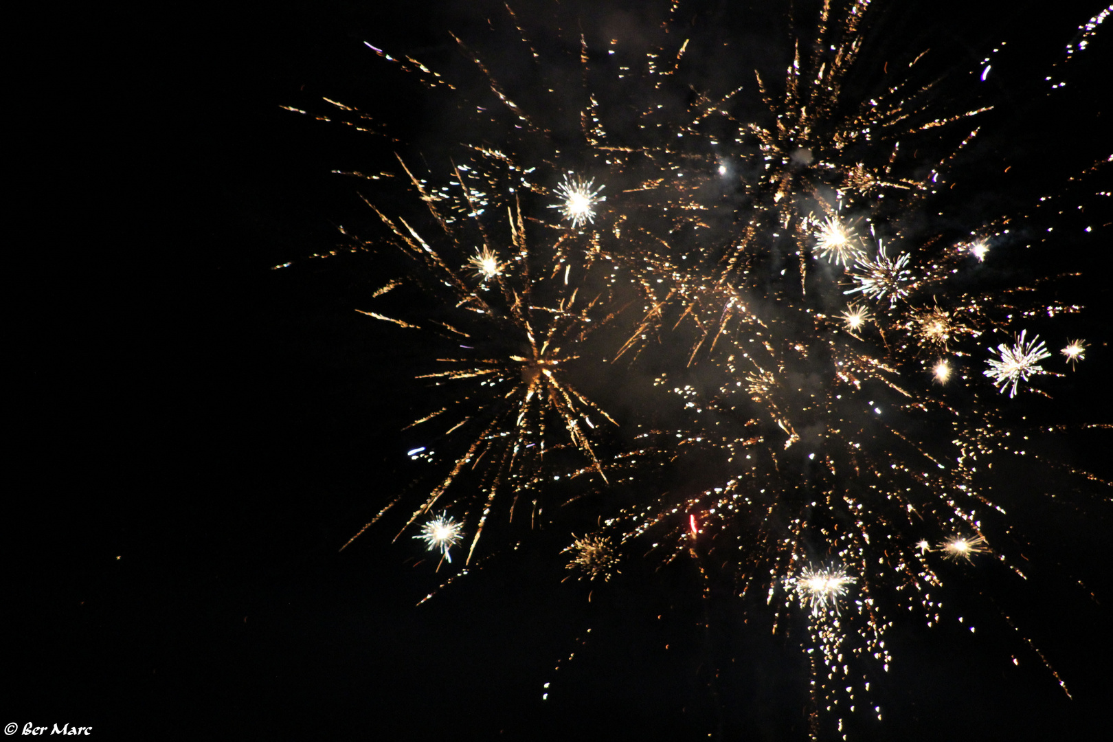 Frohes Neues Jahr!!!!!!!!!! Foto &amp; Bild | natur-bilder, silvester