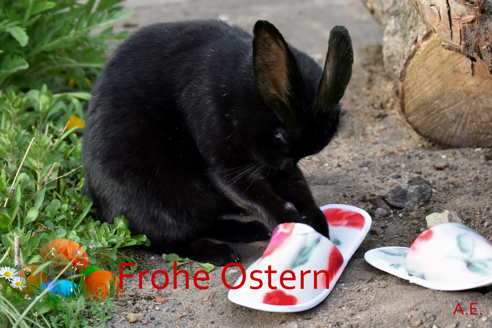 Frohes Ostereiersuchen wünschen Charly und Anke