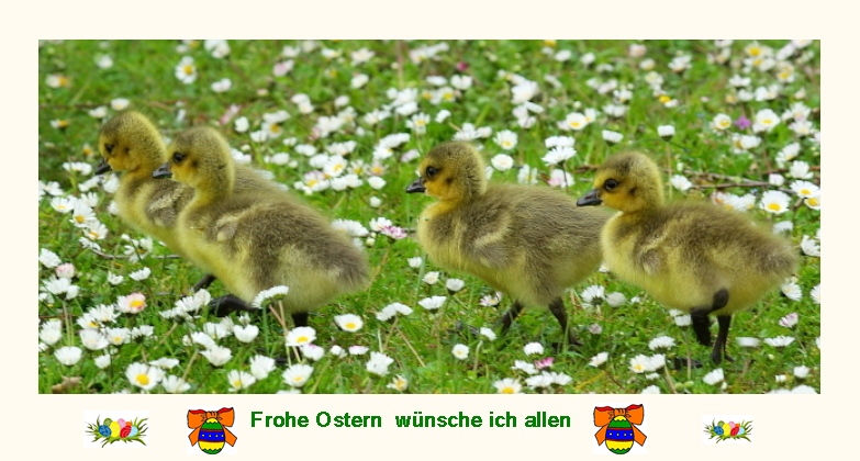 Frohes Osterfest