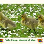 Frohes Osterfest