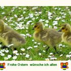 Frohes Osterfest