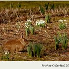 Frohes Osterfest 2018