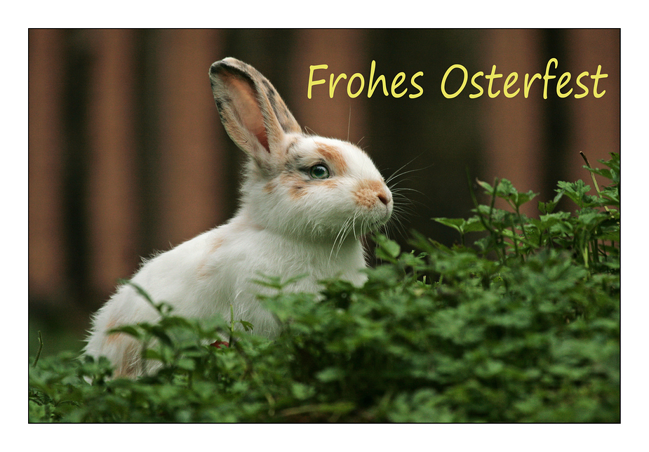 Frohes Osterfest