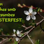 Frohes Osterfest