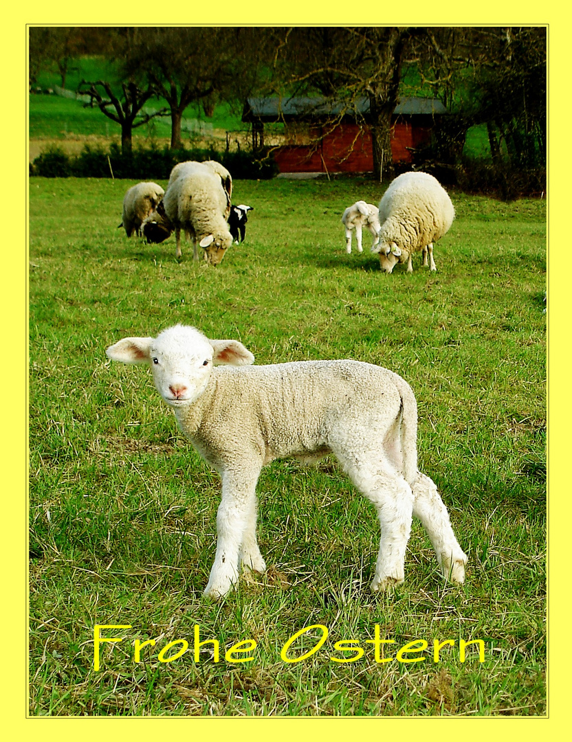 Frohes Ostern