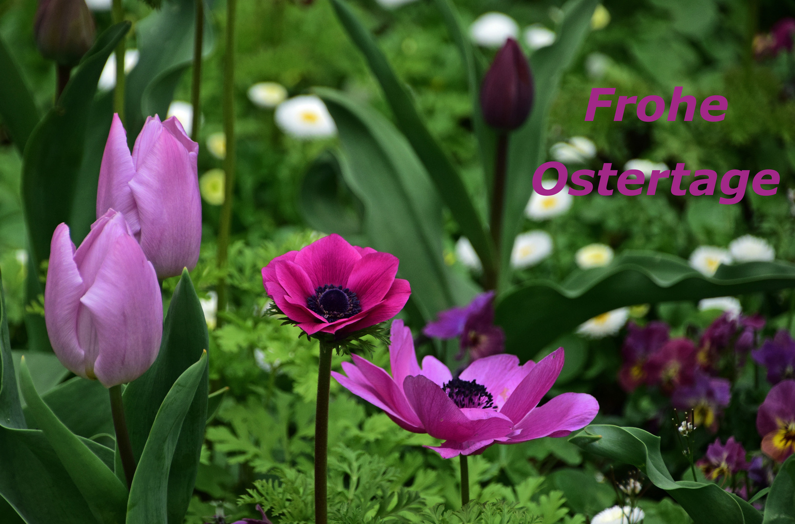 Frohes Ostern