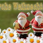 ~ Frohes Weihnachtsfest 2015 ~