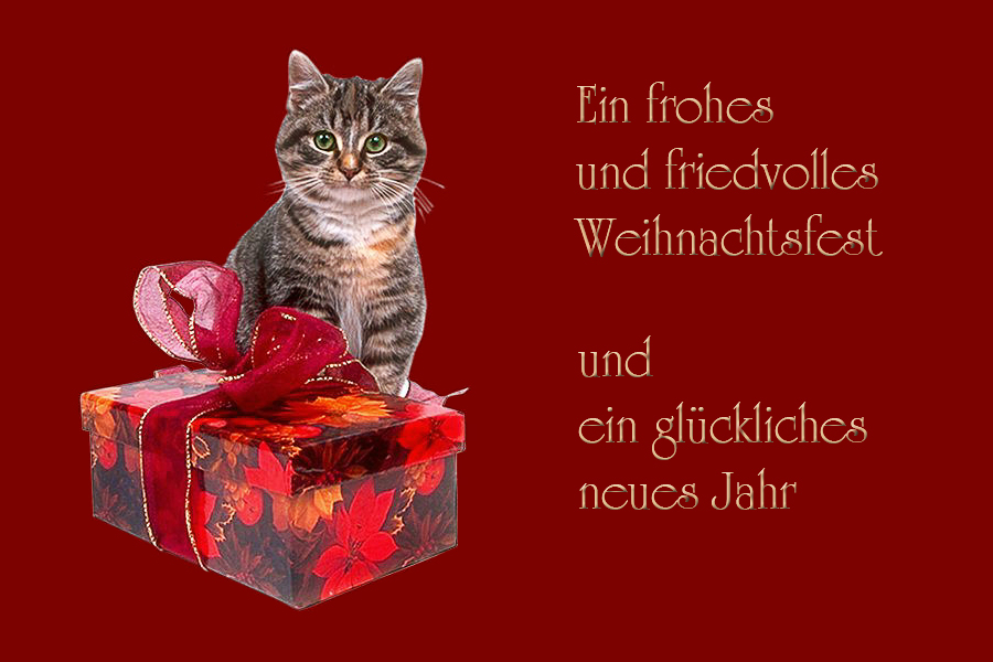 Frohes Weihnachtsfest