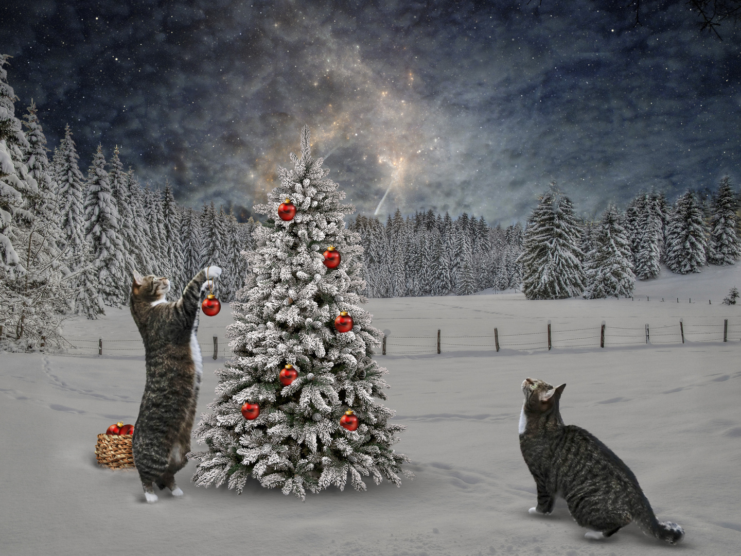 Frohe_Weihnachten Foto &amp; Bild | surreal, winter, schnee Bilder auf