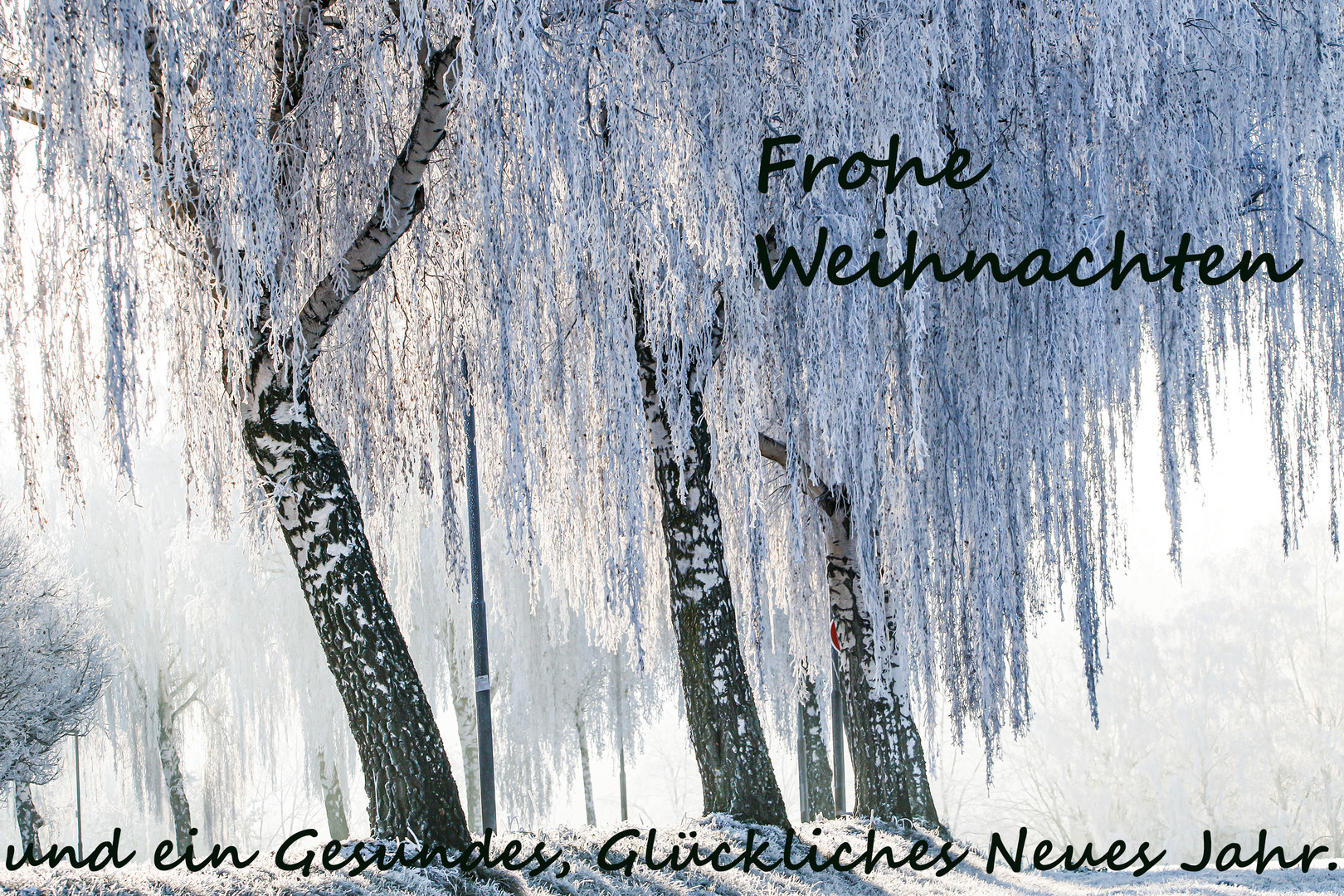 Frohe_Weihnachten