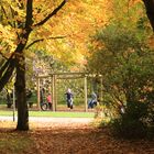 frohlockende Herbstzeit