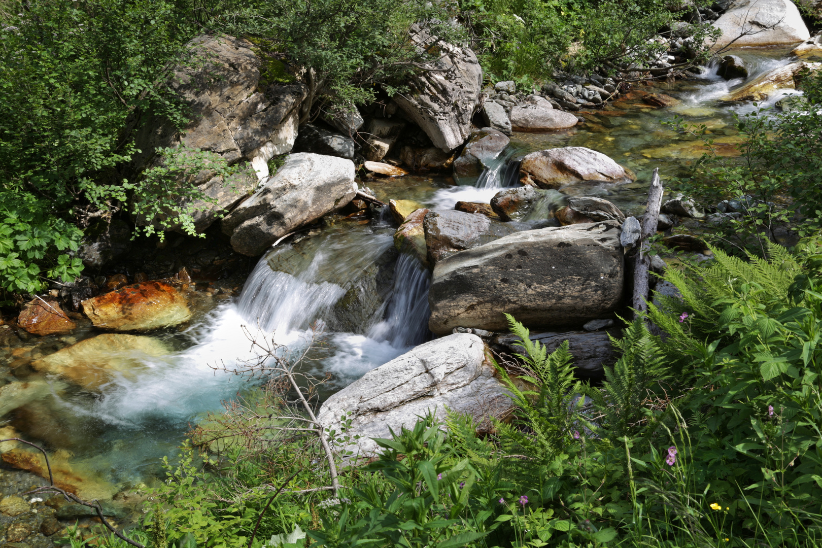 Frohnbach (2015_07_03_EOS 6D_6209_ji)