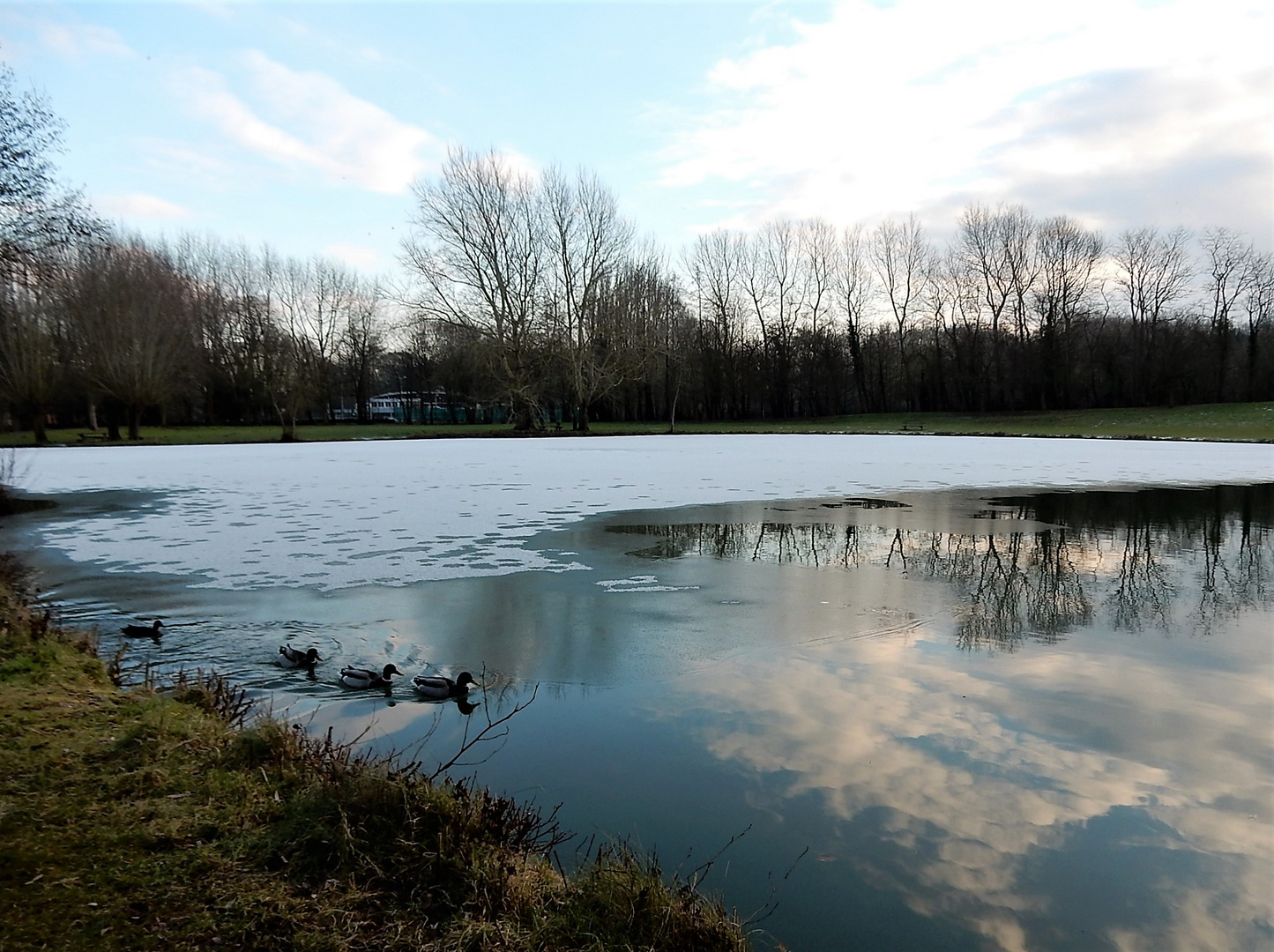 Froid à la pescherie