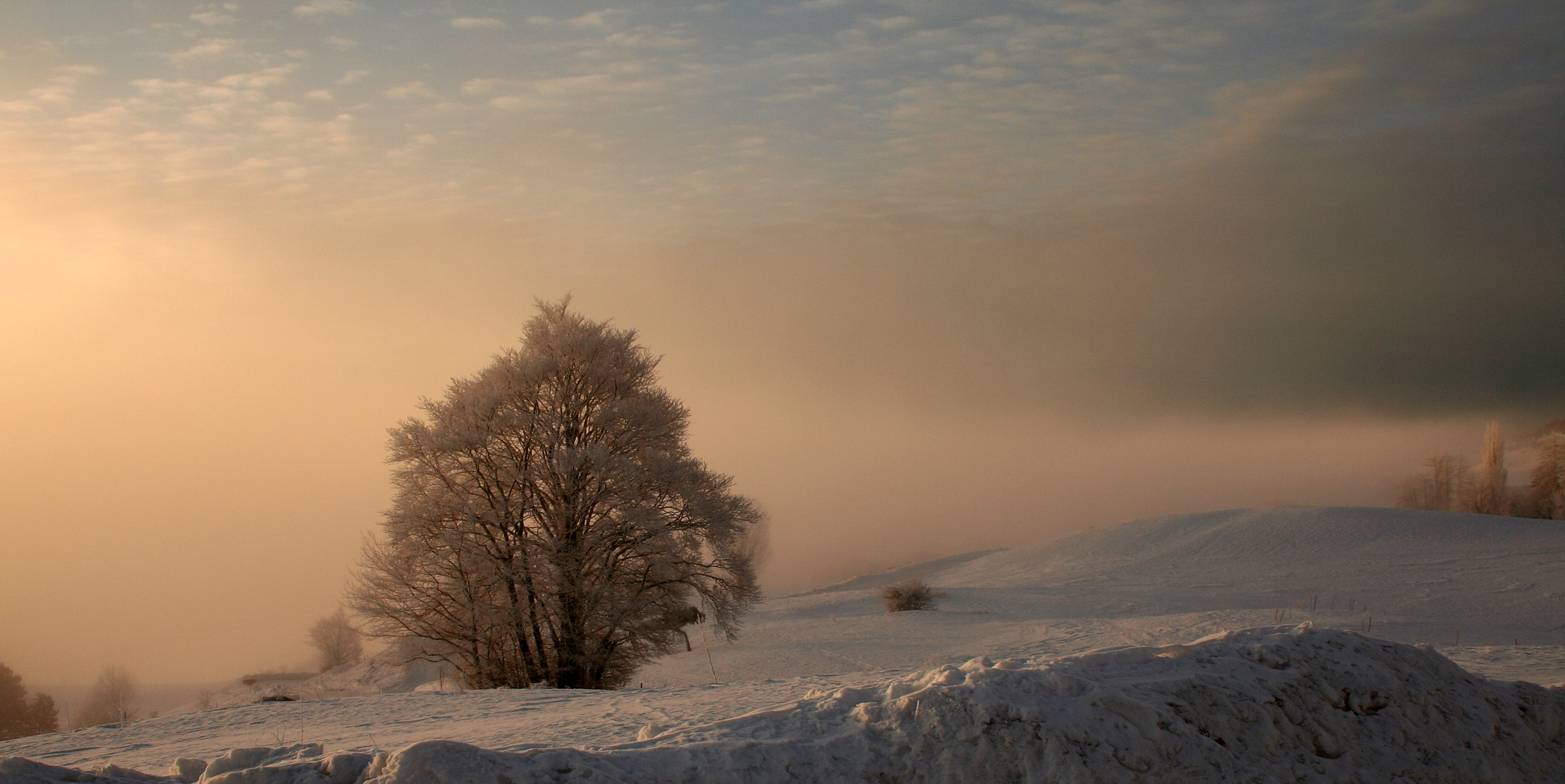 froid matinal