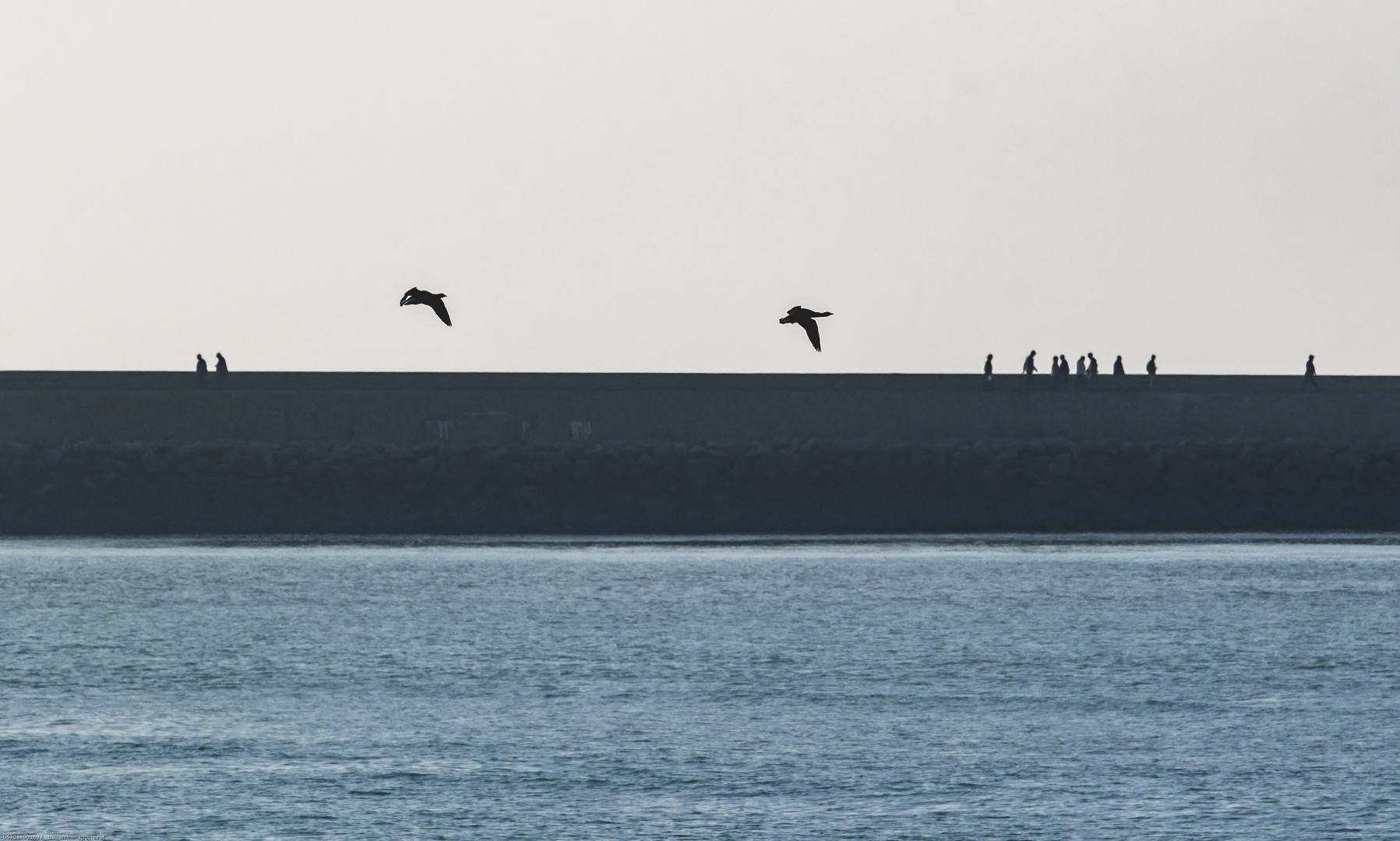 Froler la jetée.