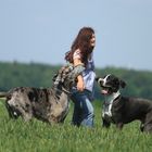User Profile Photo