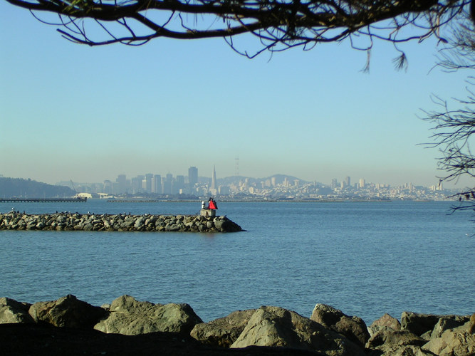 from Berkeley Marina