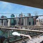 ... from Brooklyn Bridge