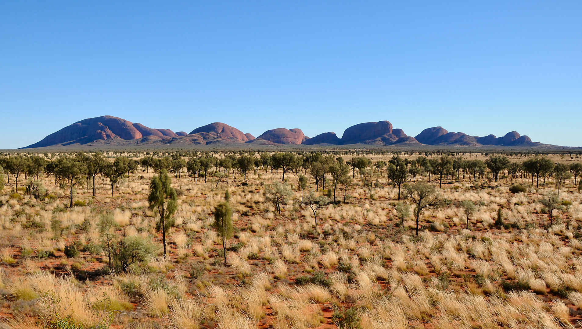 from Lookout