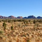 from Lookout