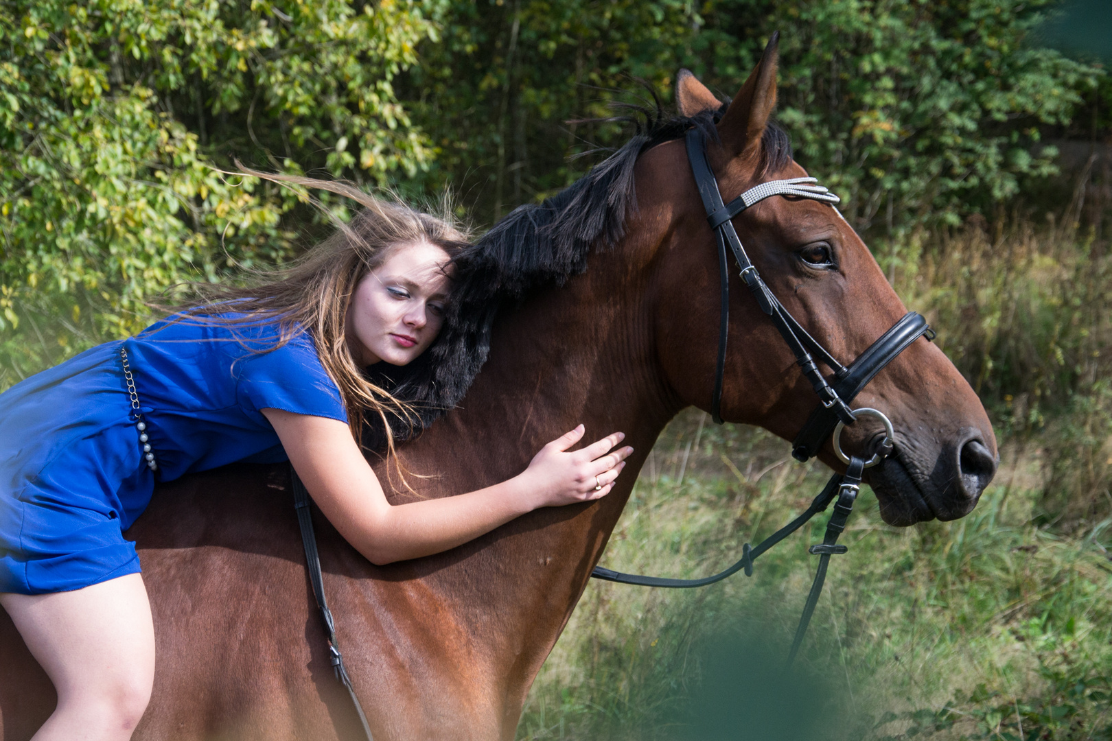 From Love to Horses