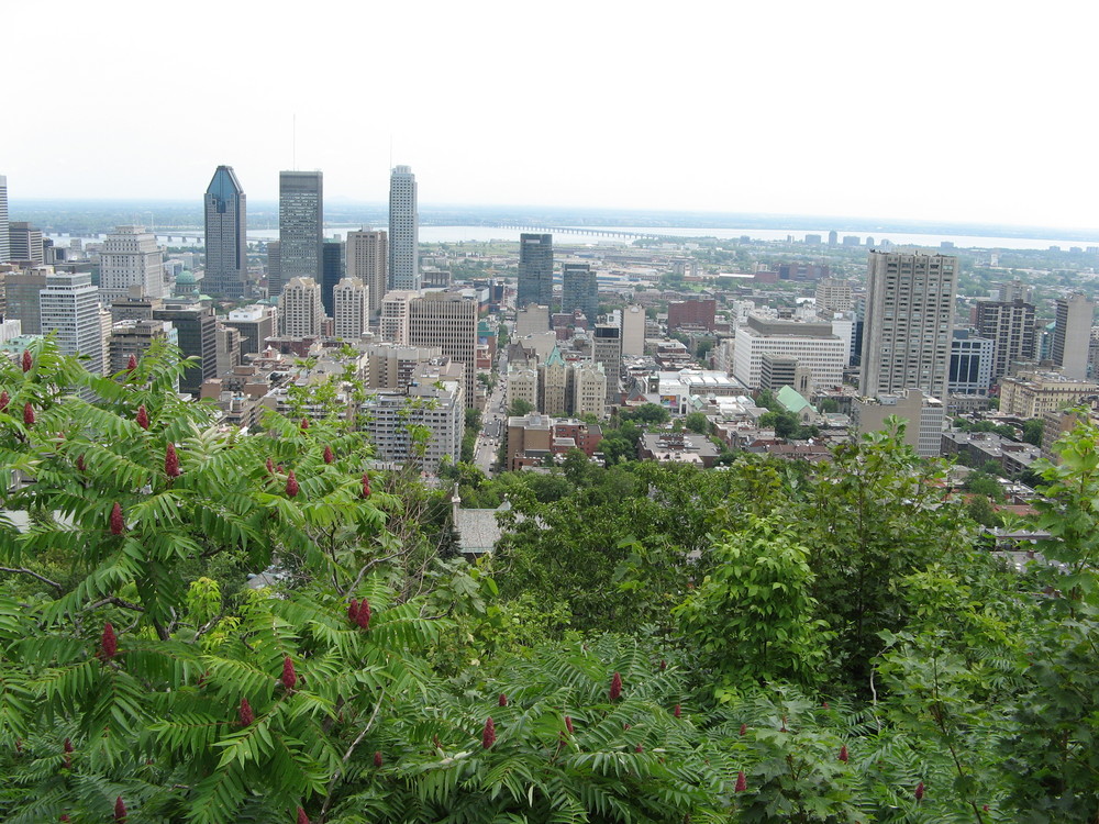 From Mount Royal#1