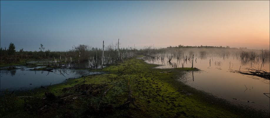 * from night to day *