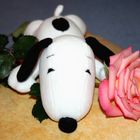 from Snoopy with love