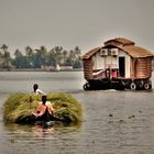 From the backwaters