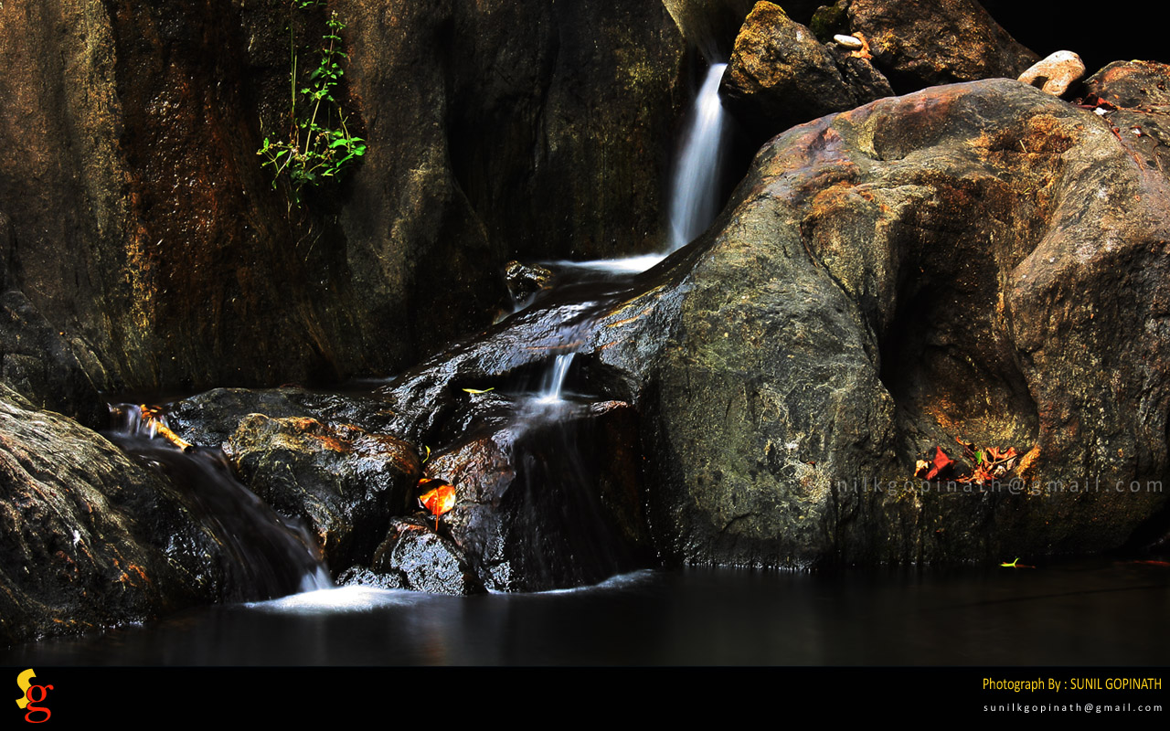 From the heart of Silent Valley