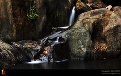 From the heart of Silent Valley