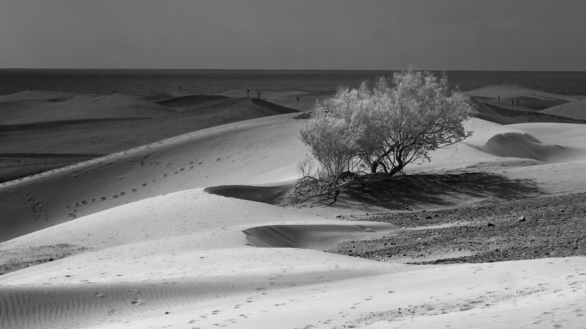 From the Maspalomas series