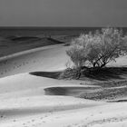 From the Maspalomas series