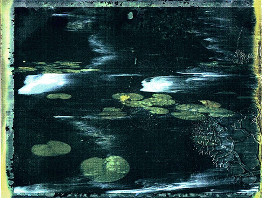 from the secret nights of the water lilies