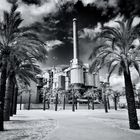 From the Series: Barcelona [5]