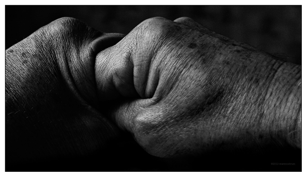 from the series: fingerplay (2)