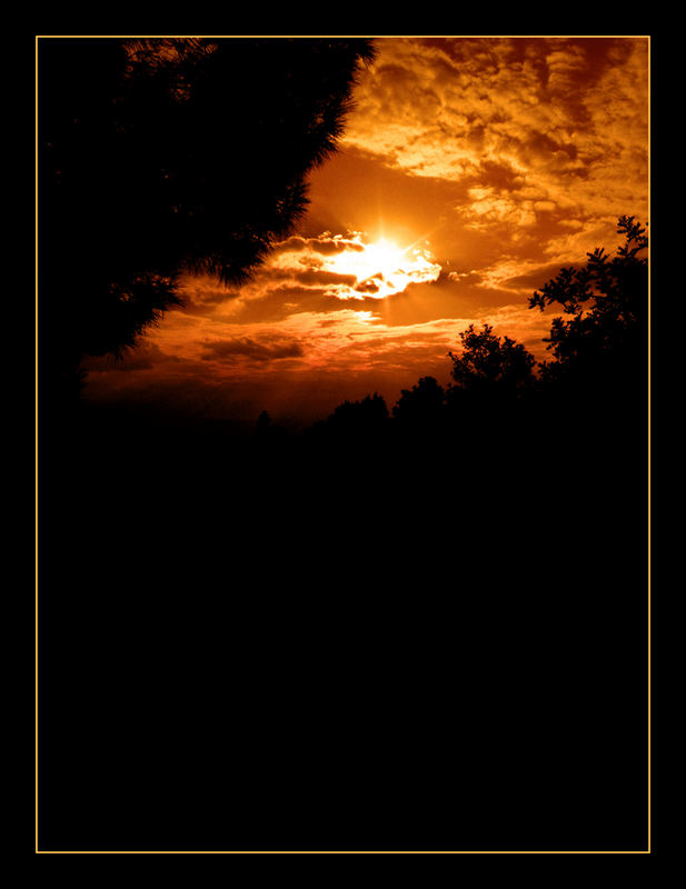 ....from the shadows towards fire skies….