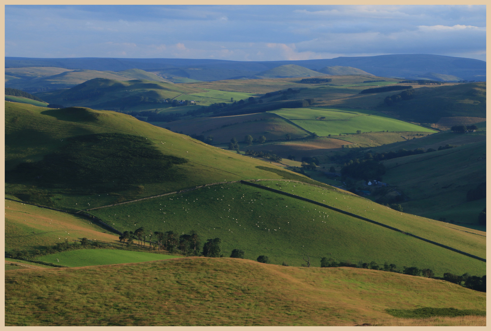 from wideopen hill at dusk 6